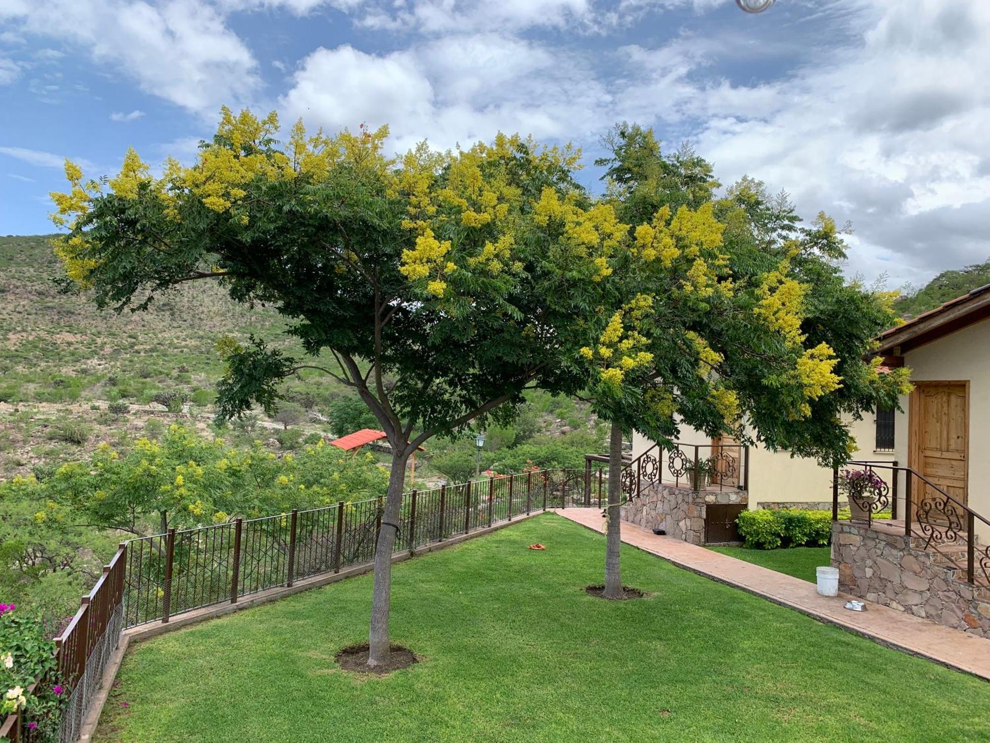 Villa Campestre La Soledad Colon Exteriör bild