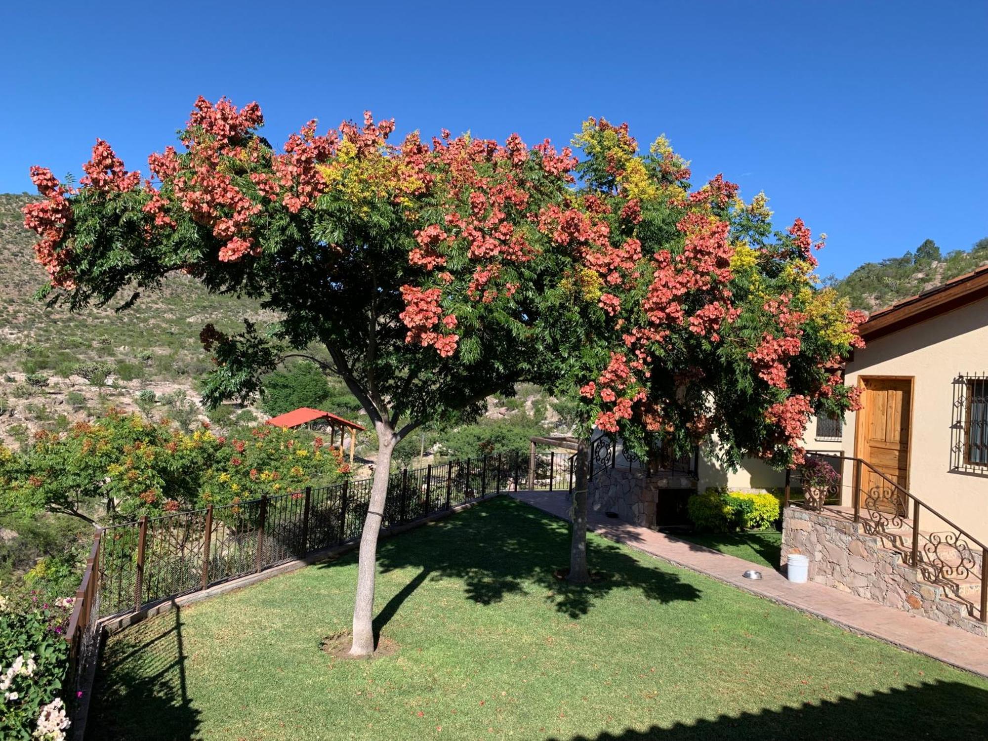 Villa Campestre La Soledad Colon Exteriör bild