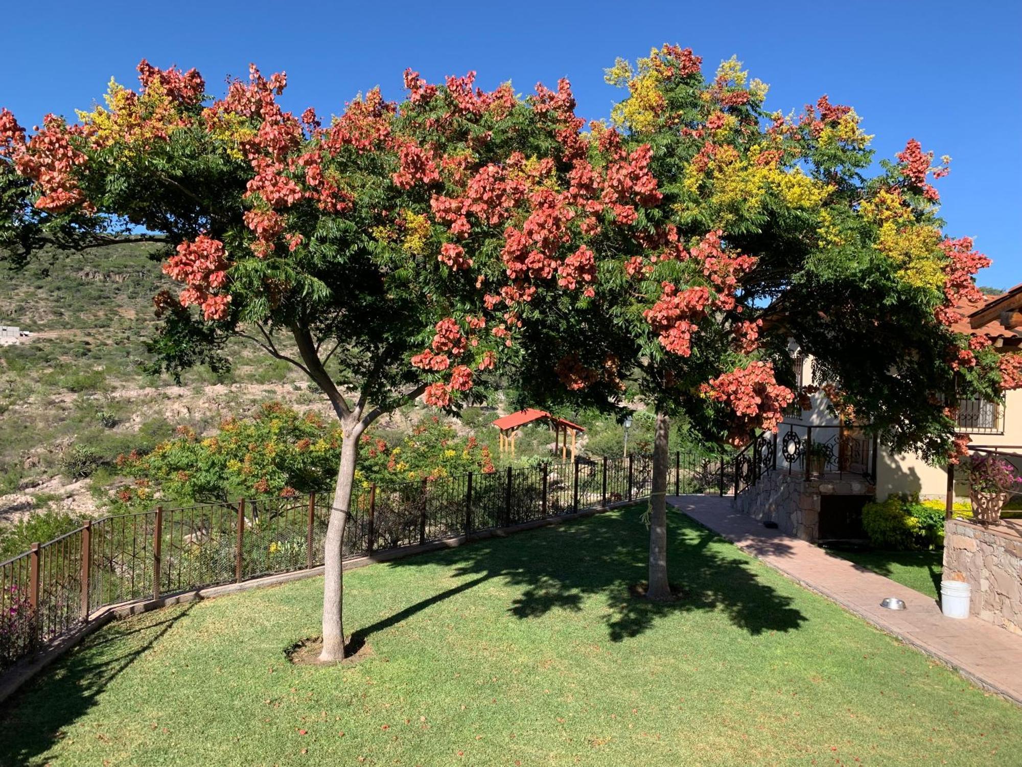 Villa Campestre La Soledad Colon Exteriör bild